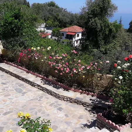 Eleni's House Chorefto Villa *