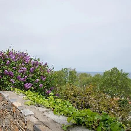 Villa Eleni's House Chorefto