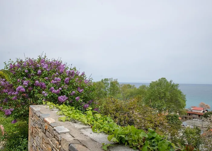 Vilă Eleni's House Chorefto